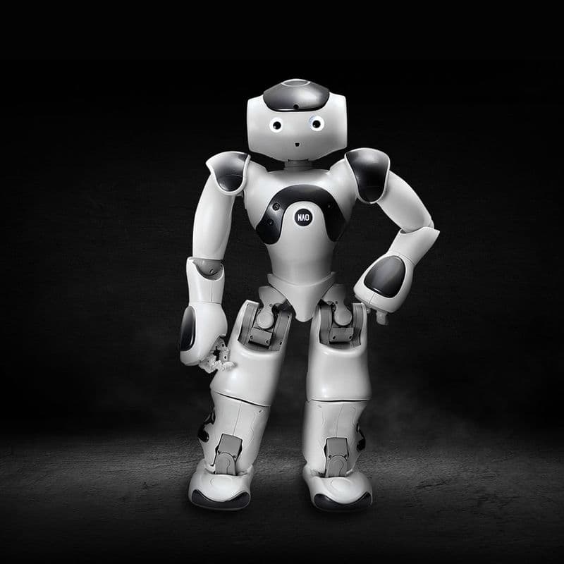Robot